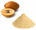 Sapodilla Powder