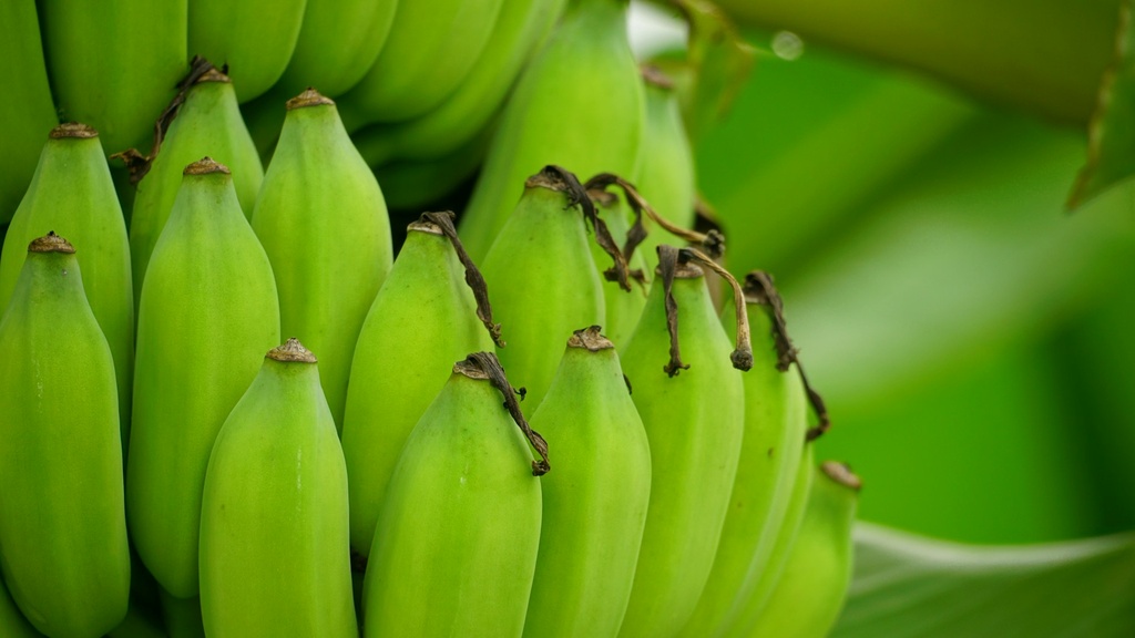 Raw Banana powder