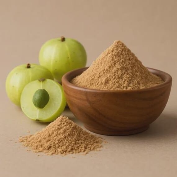 [FRUTO002] Amla Powder