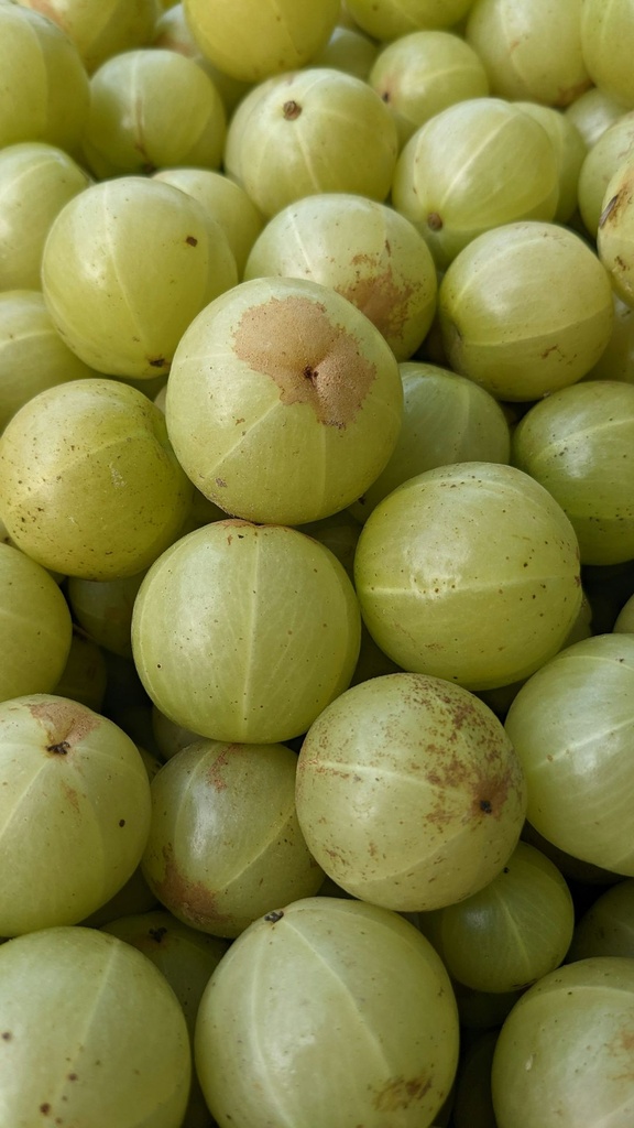Amla Powder