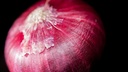 Onion Powder