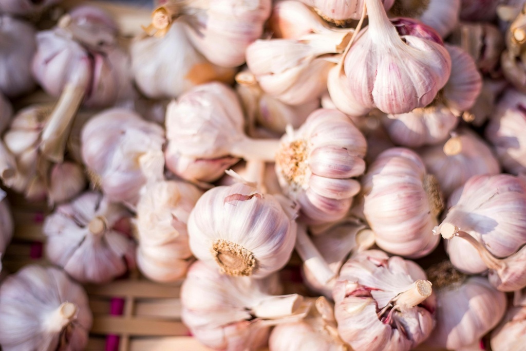 Garlic Powder